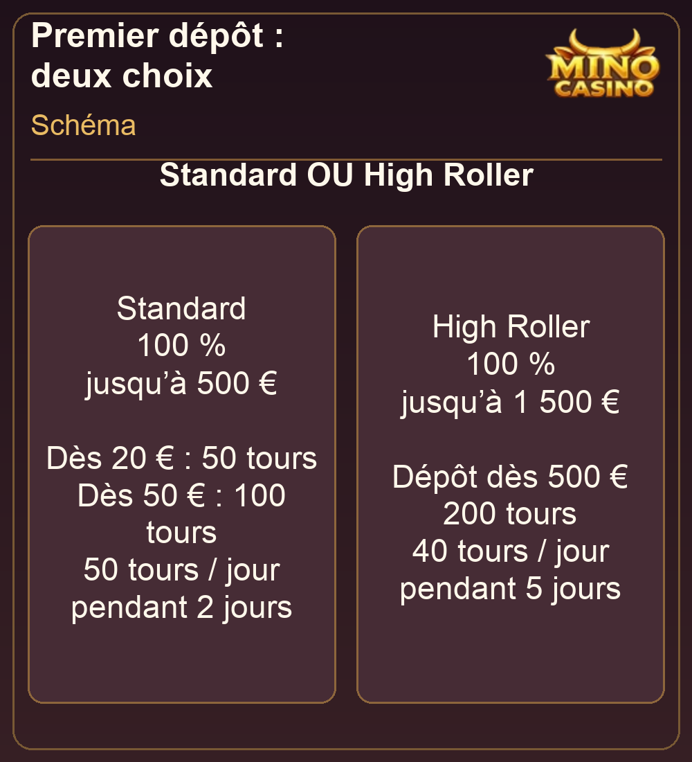 Comparaison Standard et High Roller au premier dépôt